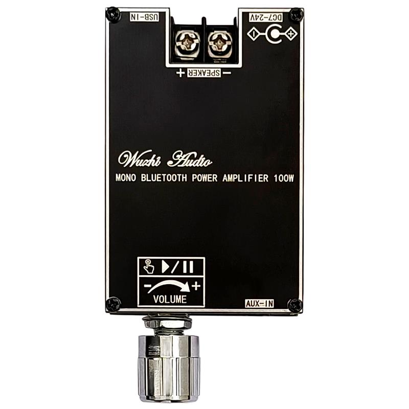 Home Cinema Amplifier - Bluetooth 5.1 TPA3116 D2 Mono 100W