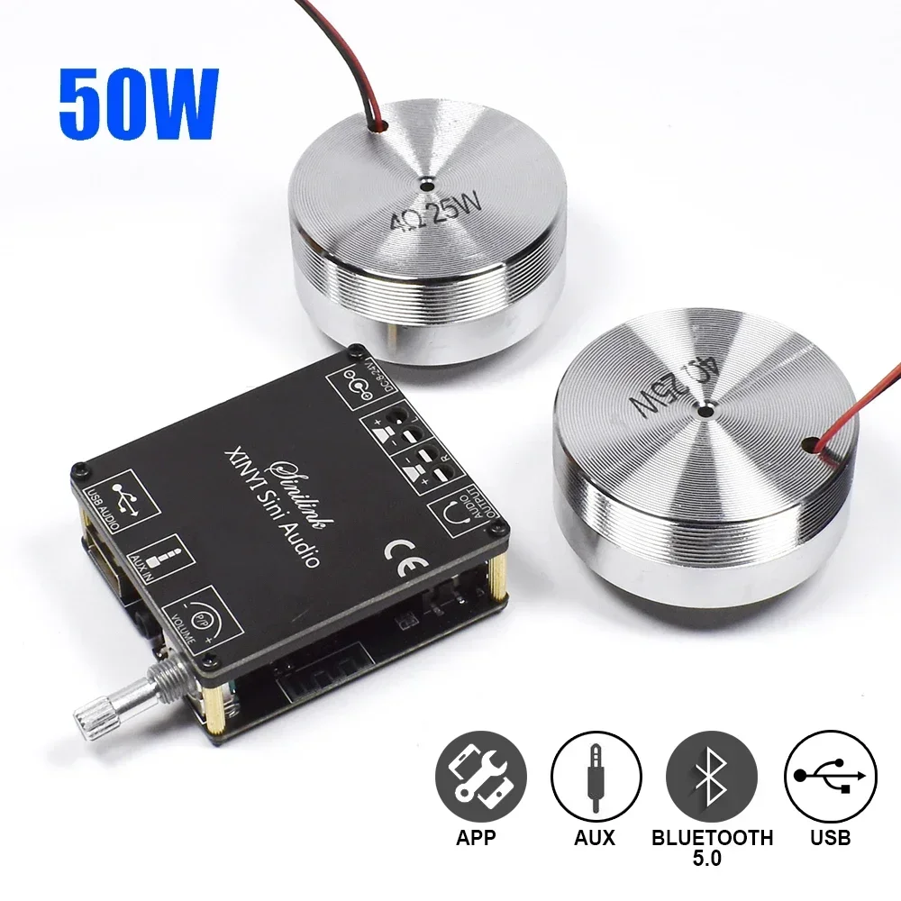 Home Cinema Amplifier - 2*25W Draagbare Stereo Trillingen Luidspreker Audio