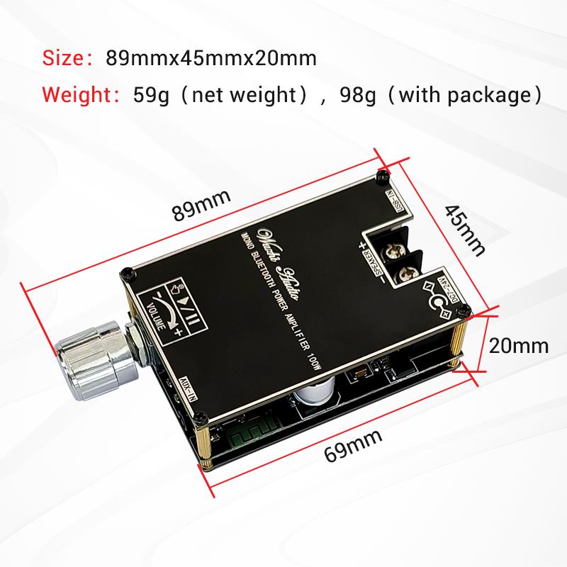 Bluetooth 5.1 TPA3116 D2 Mono  - Home Cinema Amplifier recensie en prijs