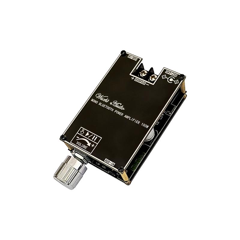 Bluetooth 5.1 TPA3116 D2 Mono  - Home Cinema Amplifier recensie en prijs