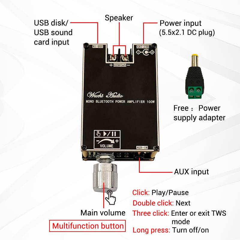 Bluetooth 5.1 TPA3116 D2 Mono  - Home Cinema Amplifier recensie en prijs